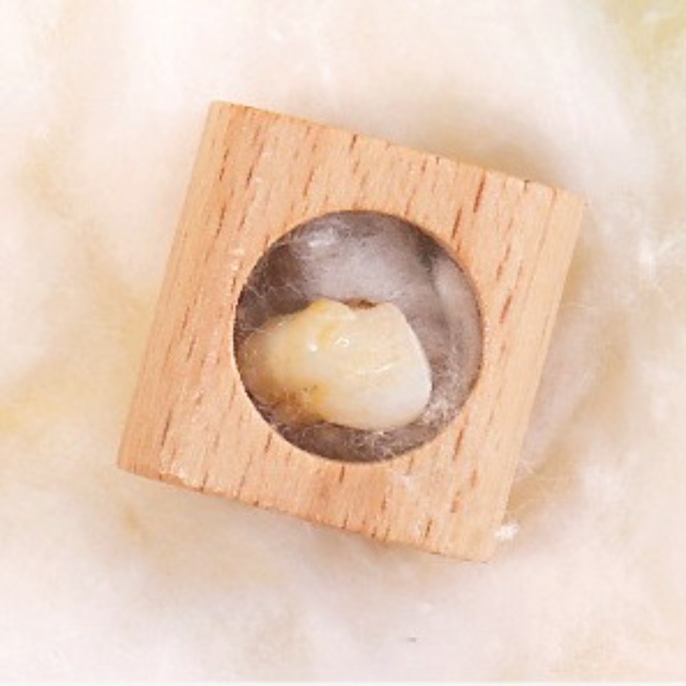 Wooden Baby Tooth Box Cartoon  - Baby Products Storage Box 评论和价格
